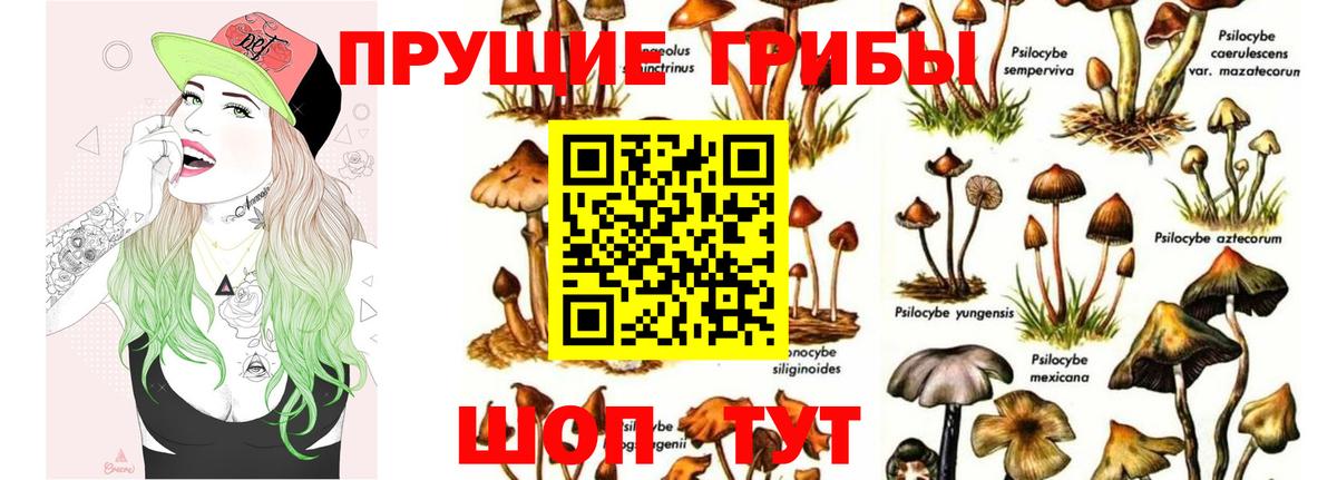 Алексеевка  Псилоцибиновые грибы ЛСД  Вход с VPN  Галлюциногенные грибы мухоморы 